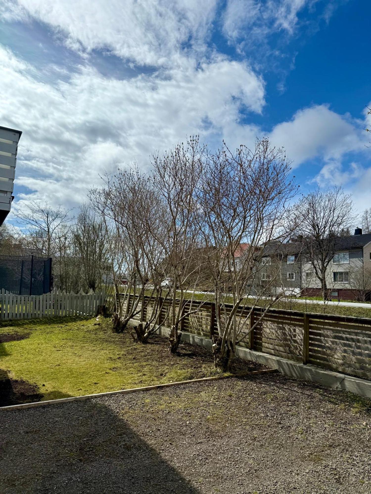 5 Bedroom With Svolvaergeita View *